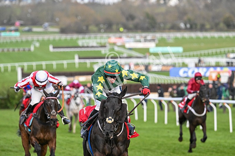 120325-Race 4-Stumptown-7040 - 12th March