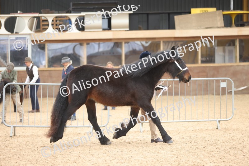 20251109-0923 - Class 26 - 2 and 4 Year Olds