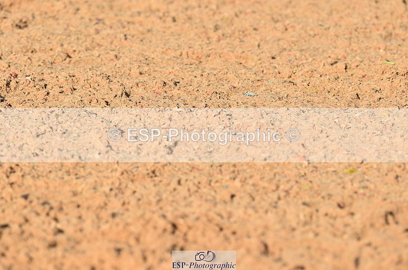 231104A-133946-01882 - Cls 10 Medium 61