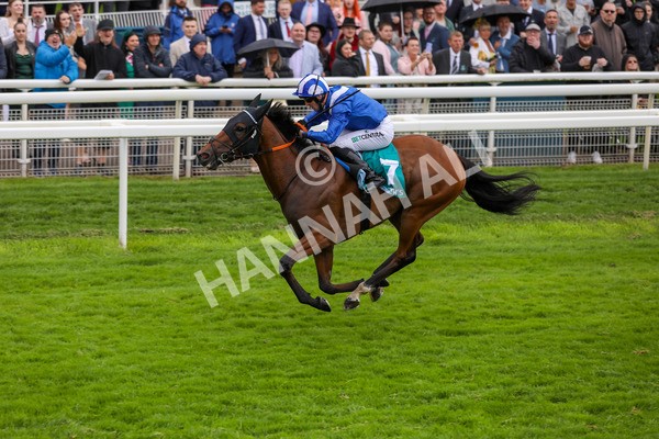 130724-Race 3-Enfjaar-2030 - Race 3 3.10pm John Smith's Cup Handicap