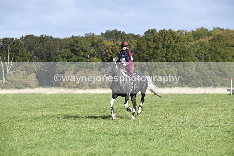 _DSC5643 - Time 10:49 to 11:23