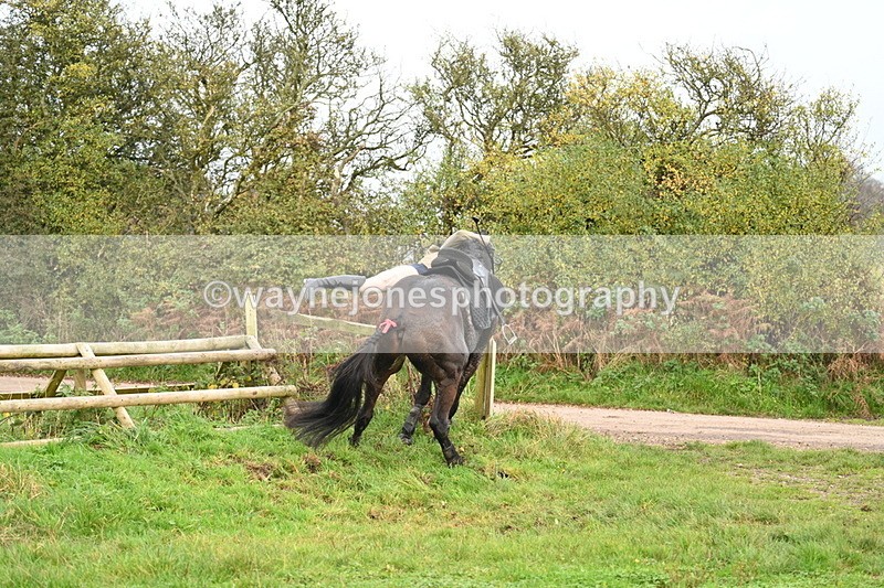 WJ7_0431 - Camera 1 & Last fence