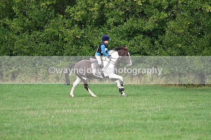 WJ7_8424 - 60cm Pairs