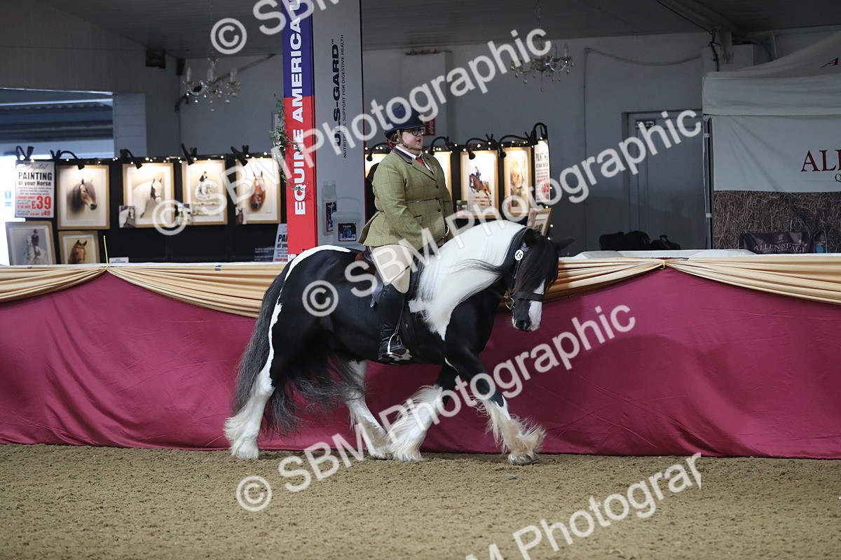 SBM_10313 - Class 102 Equitation (best rider) Adult