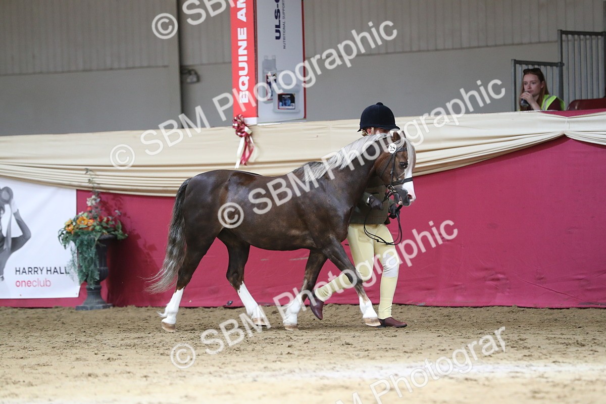 SBM_04311 - Class 7R Regional - IH Diamond