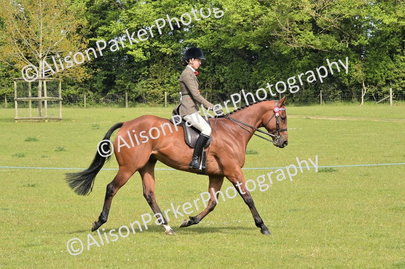 20260426-1179 - Class 19 - Retraining Of Racehorses