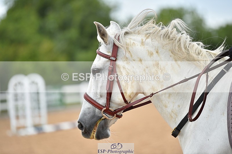 230803A-153412-01236 - Thomasina's Group Ride