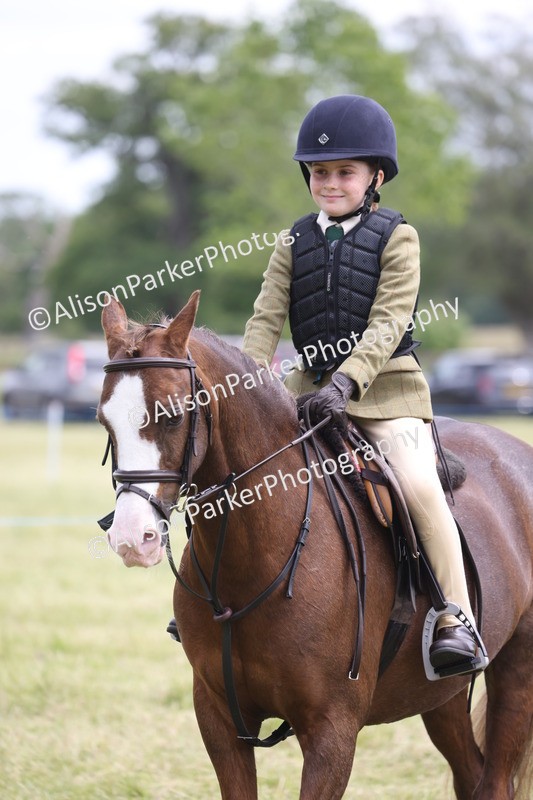 20260614-2998 - Class 22 - Open Working Hunter