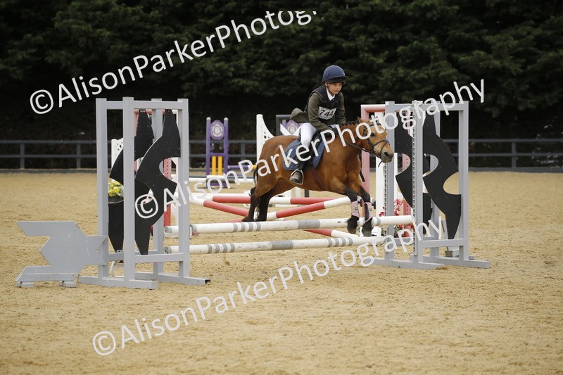 20250622-6254 - 60cm