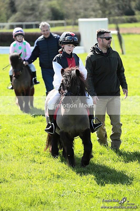 Shet 060426 351 - Shetland Pony Racing Paxford Races Easter Mon 06/04/26