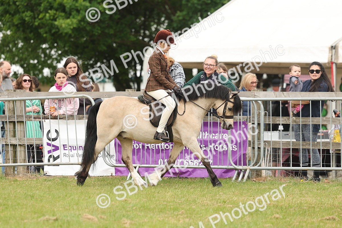 SBM_07091 - Class 76-77 - Ridden M&M Welsh Ponies