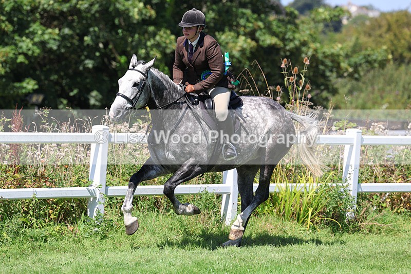 3E7A9249 - Working Hunter Championship