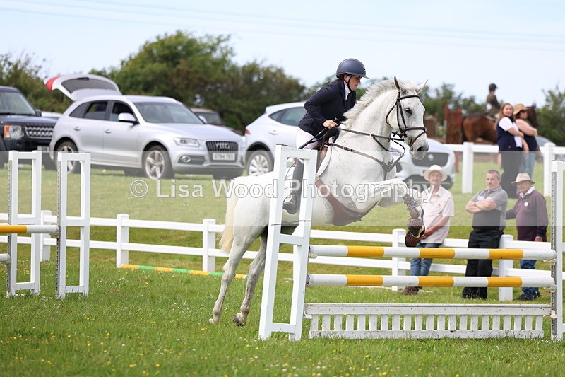 3E7A1829 - Class 13: Senior British Novice/90cm open