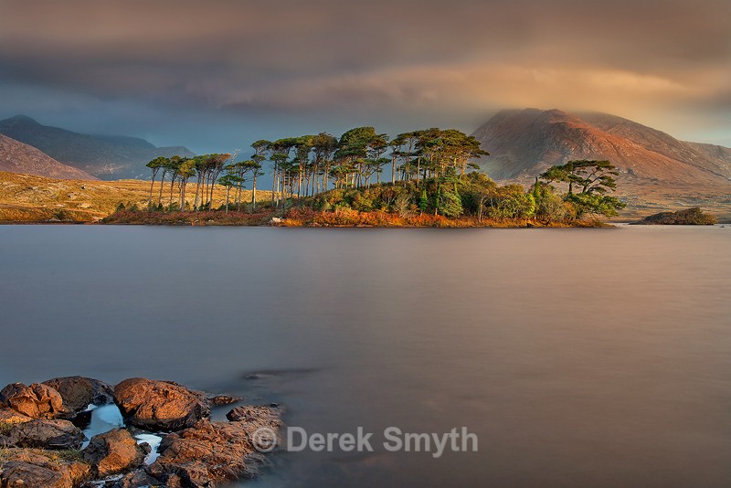 Pine Island Early Light - Co. Galway