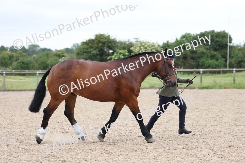 20250524-0998 - Class 9 - Cob and Hunter