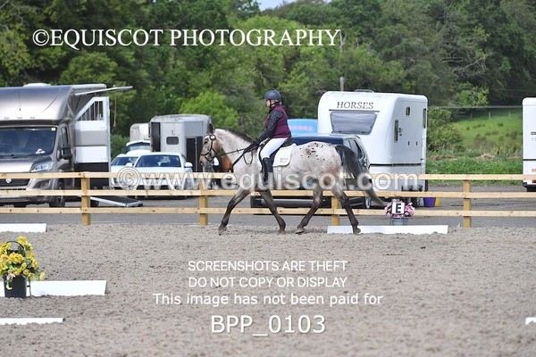 BPP_0103 - SHORT ARENA  MY QUEST PRELIM