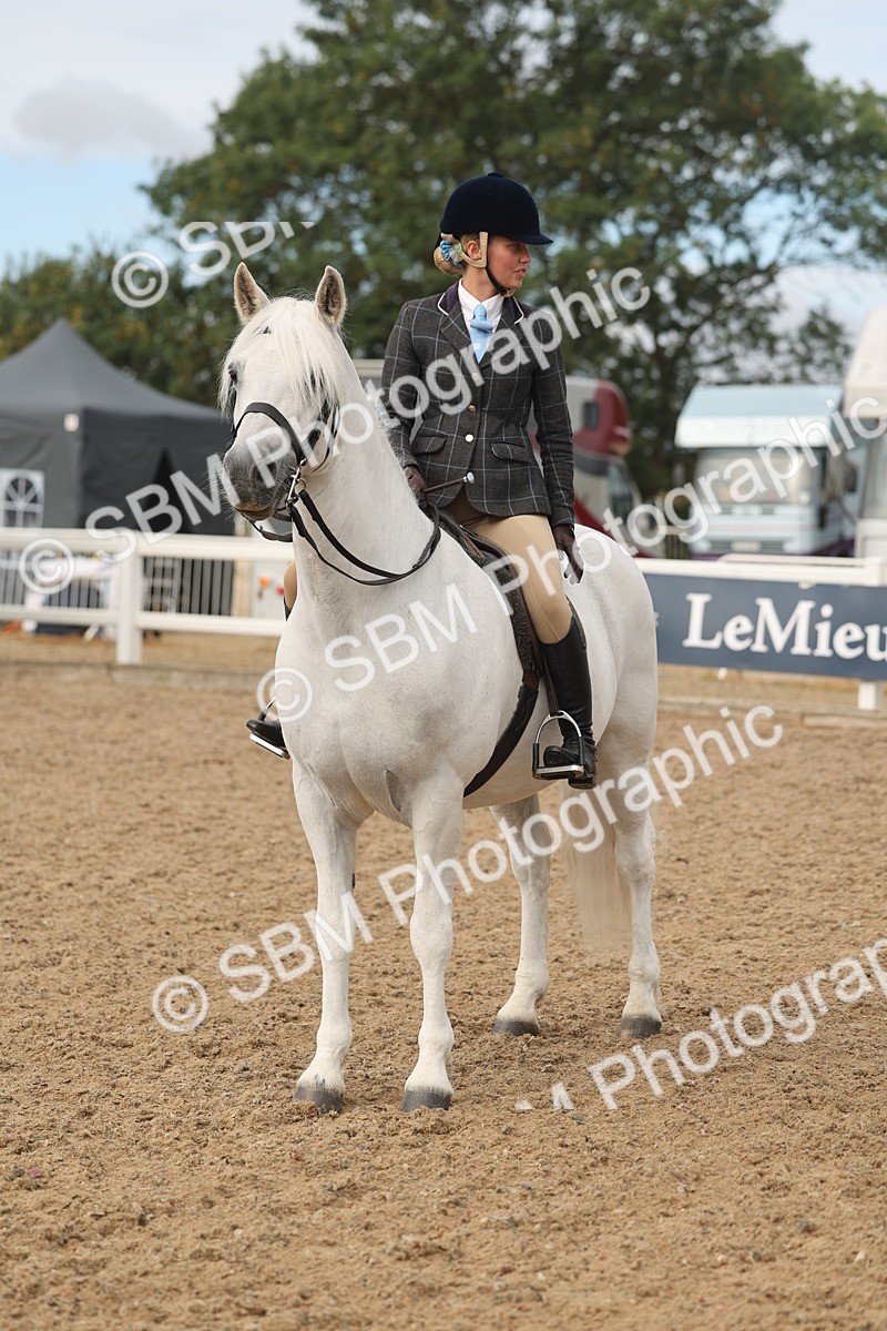 SBM_02005 - Class 14 - Ridden M&M Wildcard