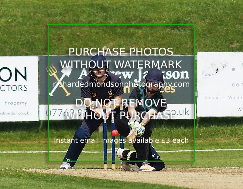 DSC01136 - Cumbria Womans Twenty-20