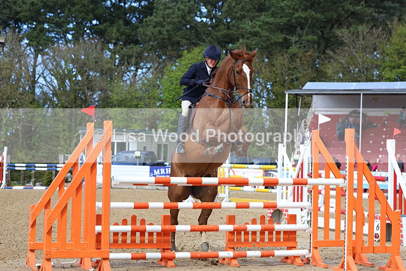 3E7A2098 - Class 8: Senior Foxhunter/1.20 open