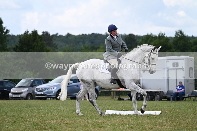 WJ7_5143 - Time 11:22 to 11:51