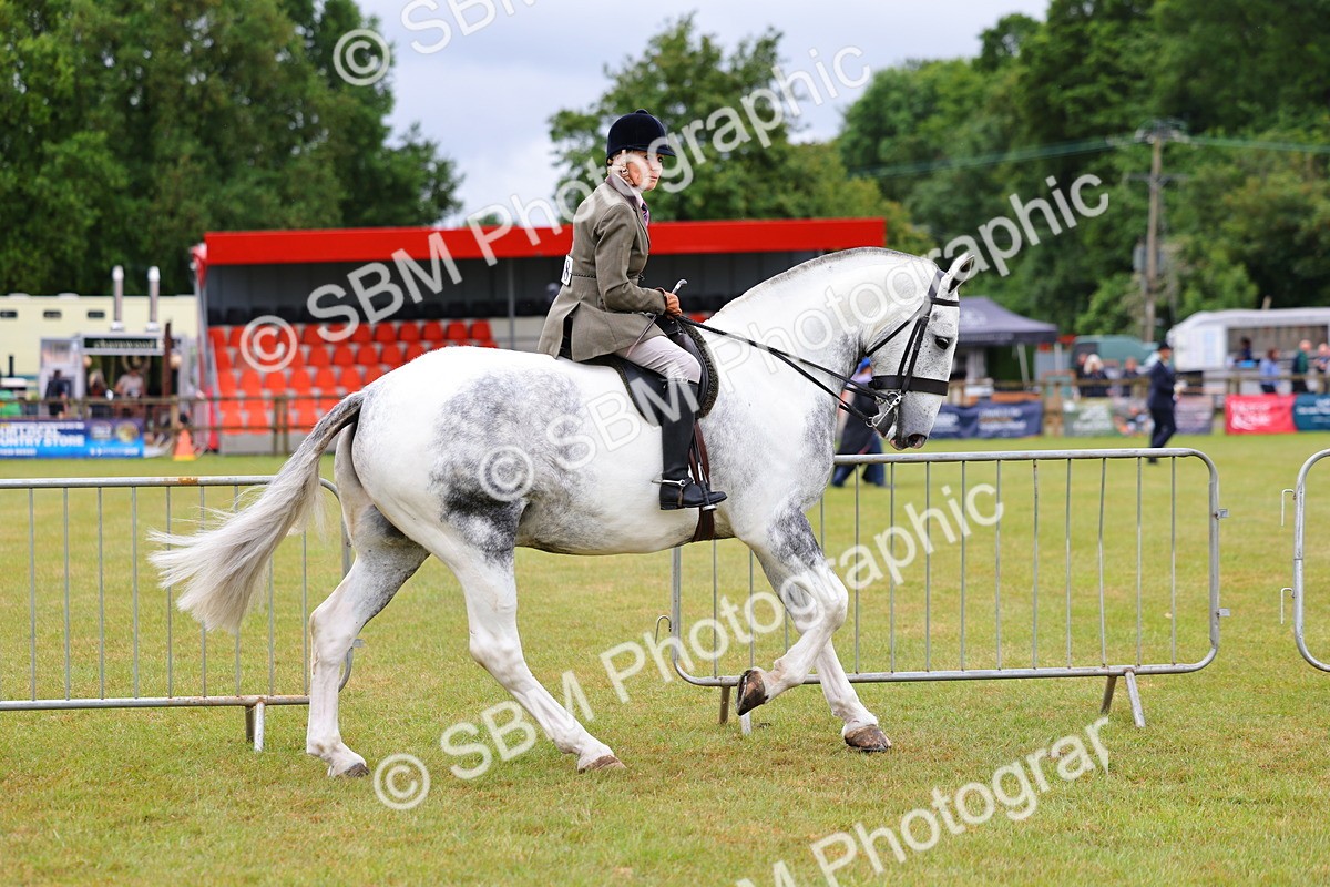 SBM_02492 - Class 9-11 Side Saddle including LIHS Rising Star Ladies Show Horse