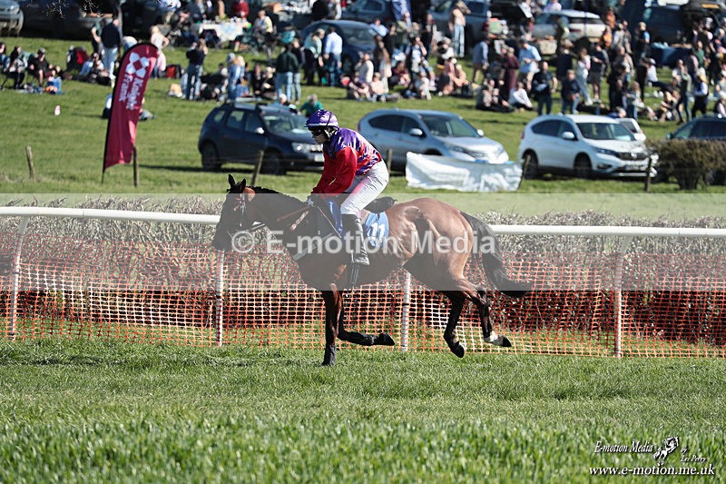 PtP 210326 284 - VWH Cirencester Races 21/03/26