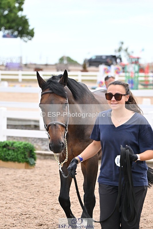 250716-135917-00842 - Trot Up 1.30 to 2.30