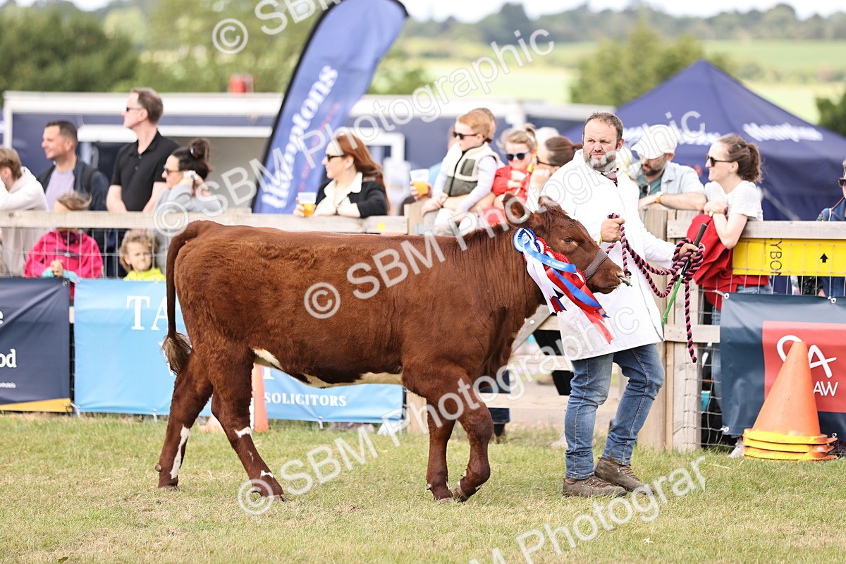 SBM_16892 - Grand Parade