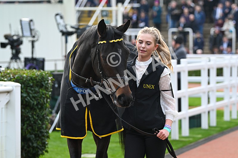 161124-Race 1-Paddock-East India Dock-9092 - Race 1