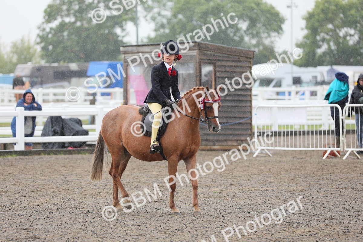 SBM_20617 - Class 804 - Ridden Veteran Pony