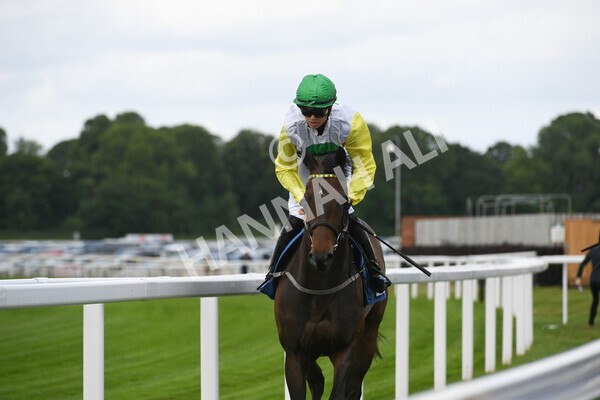 yr11062022r2-26 - Race 2 2.00pm Queen Mother's Cup