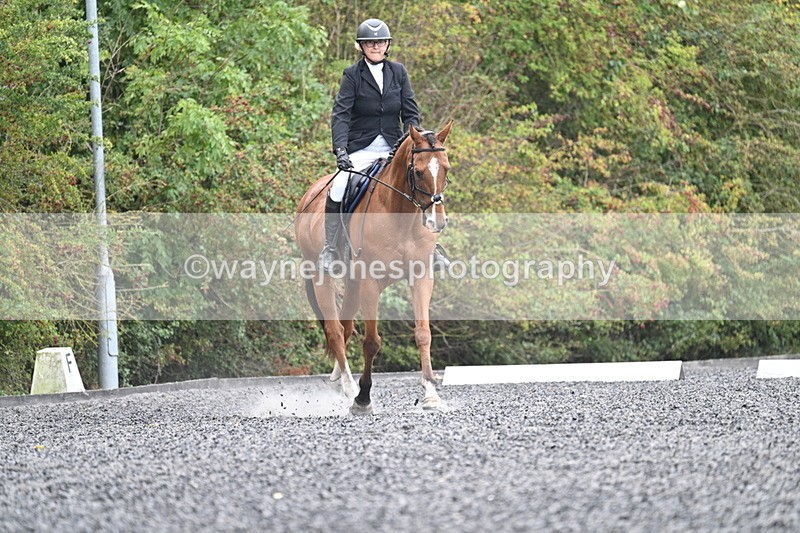 WJ7_3456 - Time 09:54 to 10:54