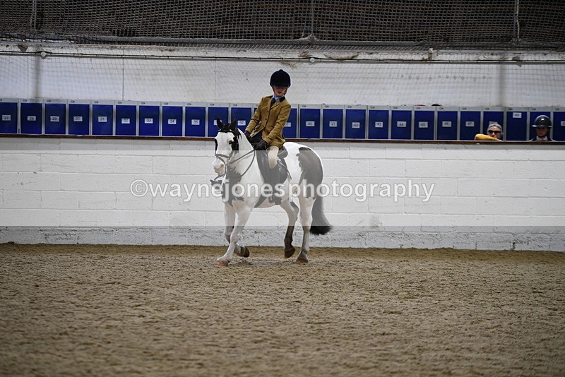 WJ5_7311 - Class 11 Ridden PC - RC Pony