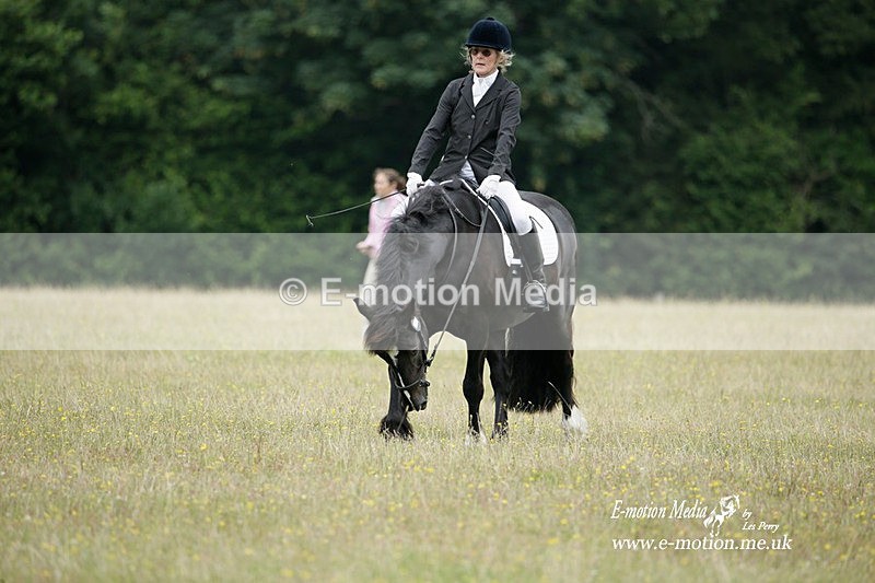 BVRC 030721 50 - Bourne Valley Riding Club Dressage 03/07/21