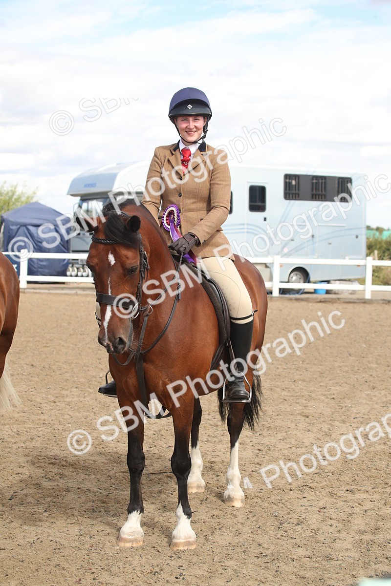 SBM_14604 - Class 505a - M&M Working Veteran - 50cm (15-19)