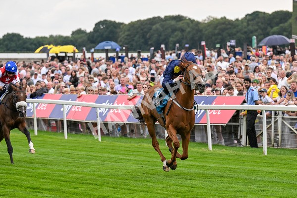260725-Race 1-Golden Palace-0204 - Race 1 1.25pm £100K ITV7 Jackpot Today EBF Fillies' Novice Stakes