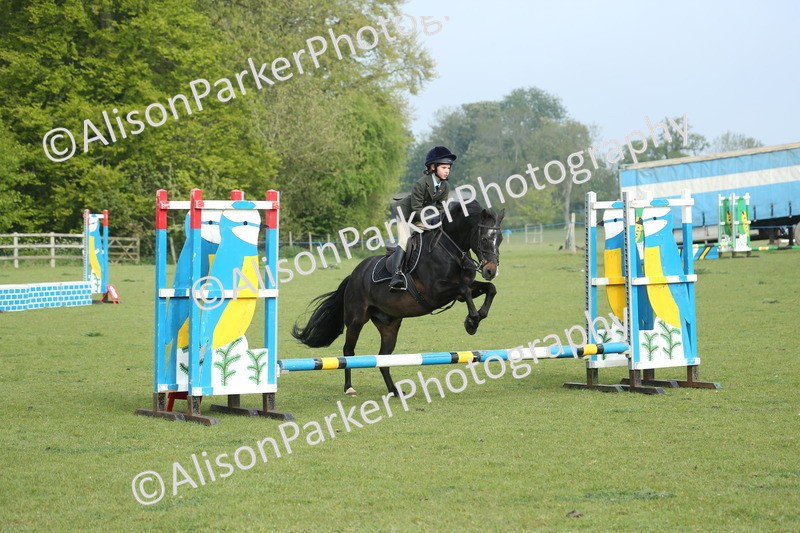 20260426-0004 - Class 13 - Rookie Jumping 50cm