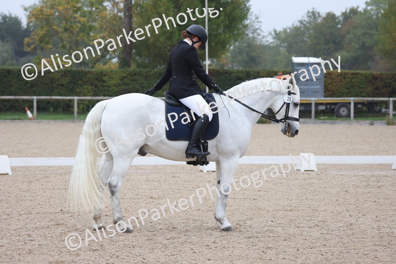 20251012-0507 - Class 4 - Novice 6