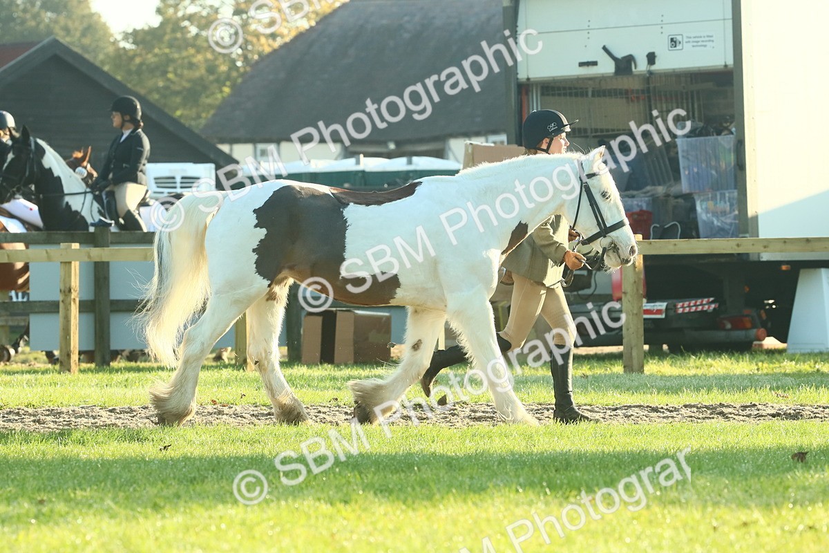 SBM_57331 - S37 - Starters In Hand Showing