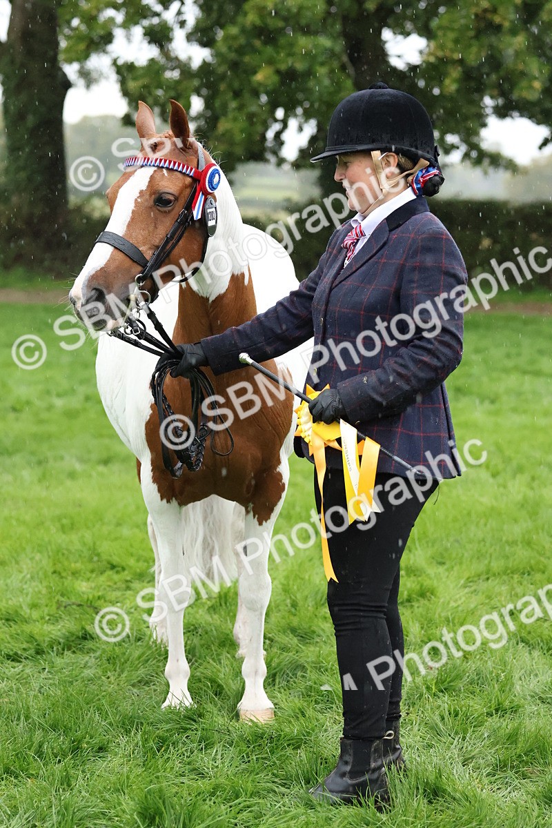 SBM_35367 - S10 - Best In Hand Horse & Pony