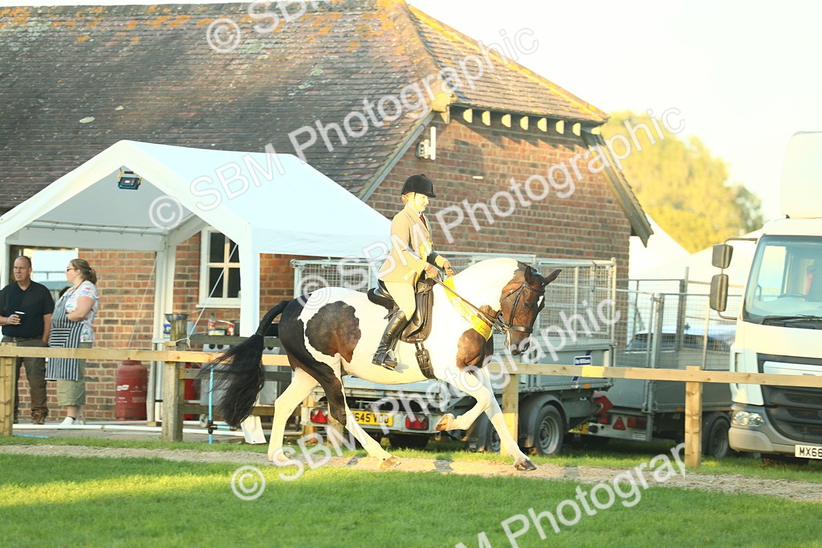 SBM_56593 - S14 - Riding Club Horse