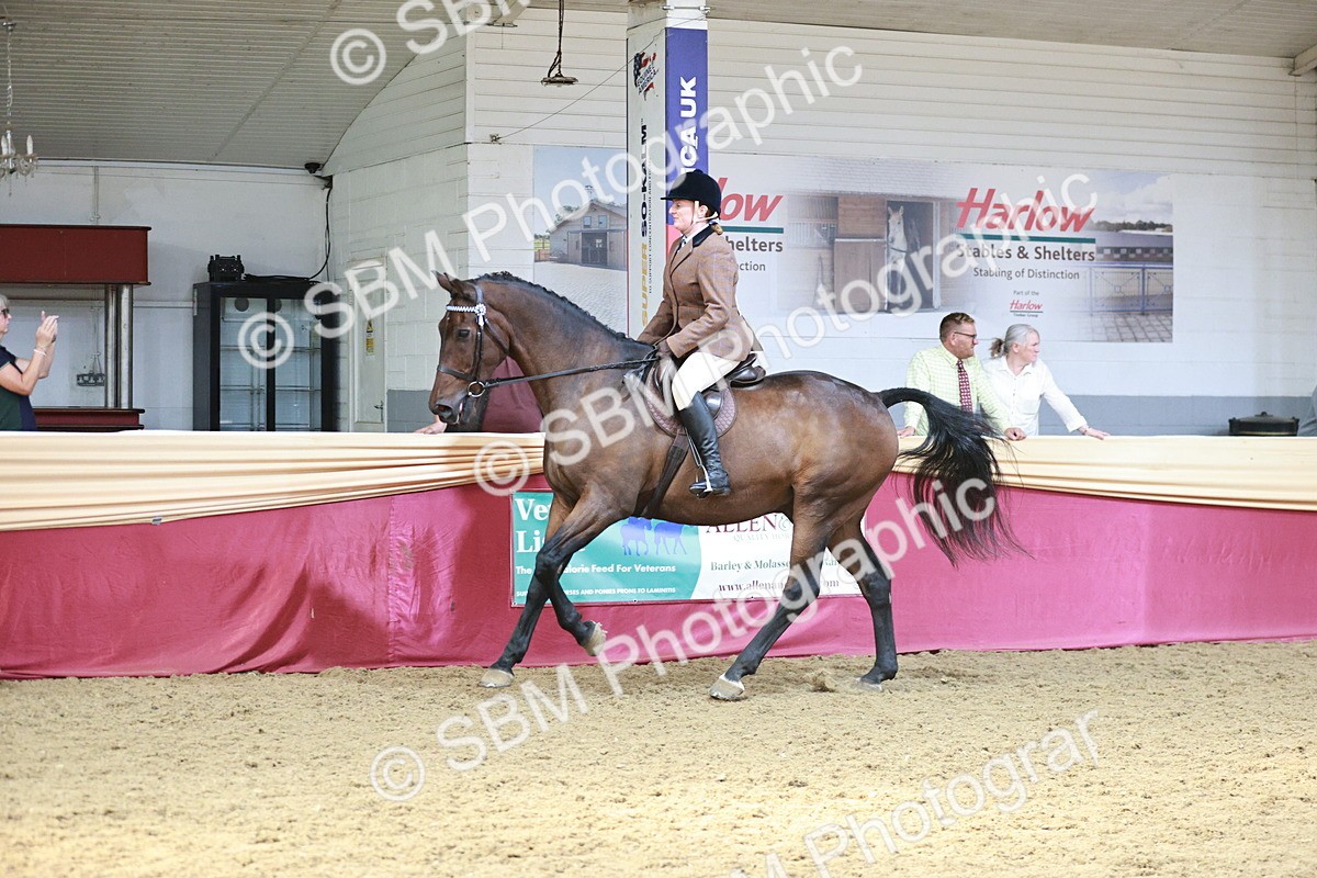 SBM_07009 - Class 10R - Regional Ridden Diamond