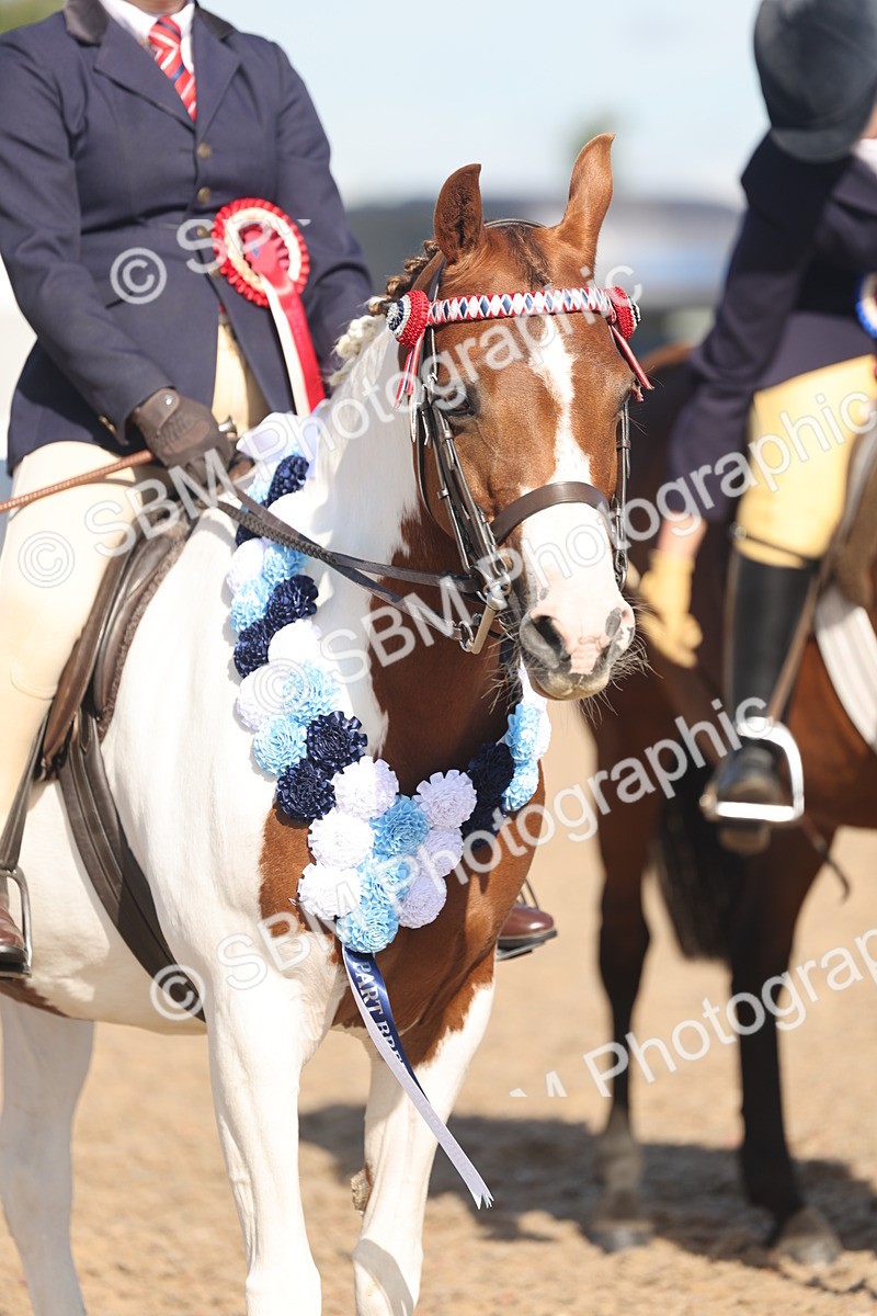 SBM_12414 - Class 304 - Ridden part Bred Horse Pony