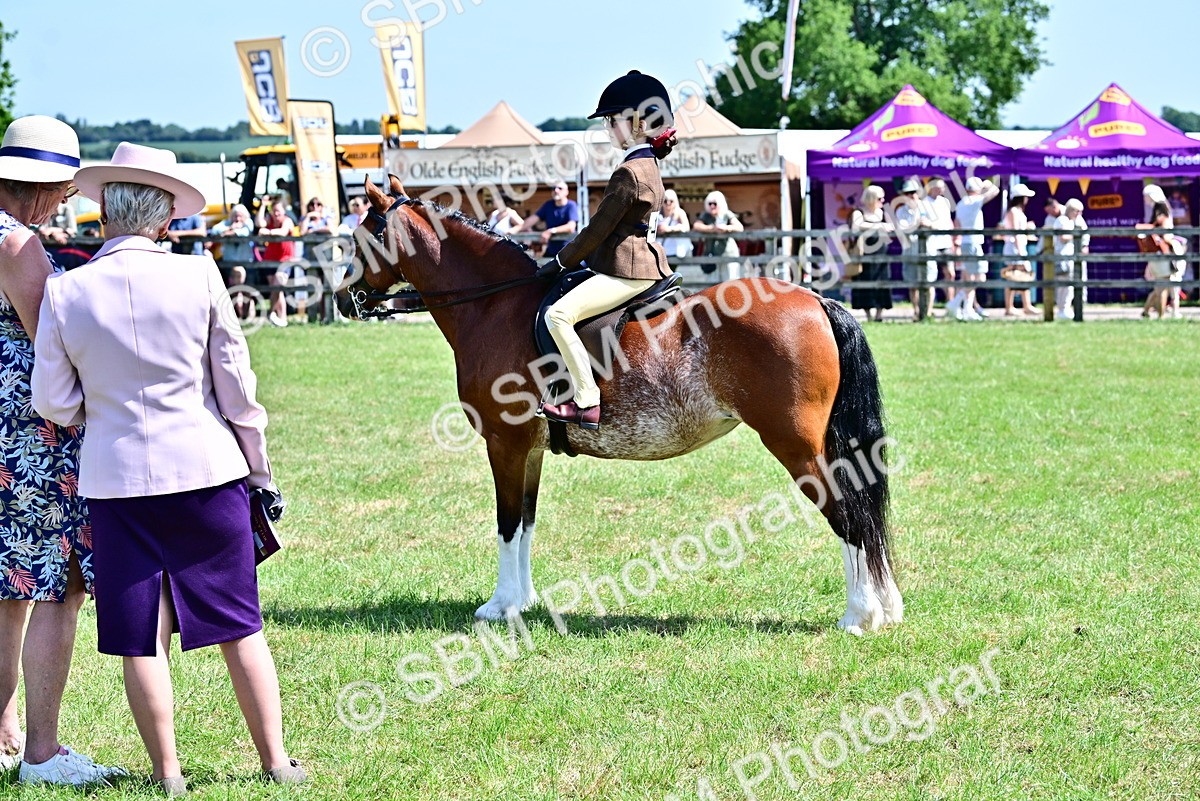 SBM_13910 - Class 95-97 - BSPS LHS Performance Ponies