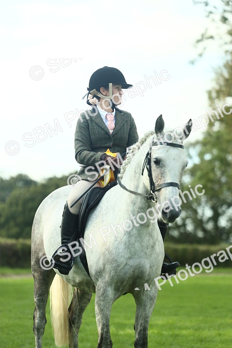 SBM_52232 - S33 - Working Hunter & Working Show Horse