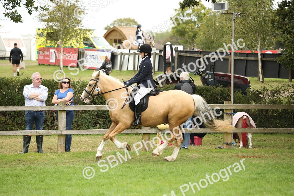 SBM_73712 - S41 - Ridden Equitation (Best Rider)