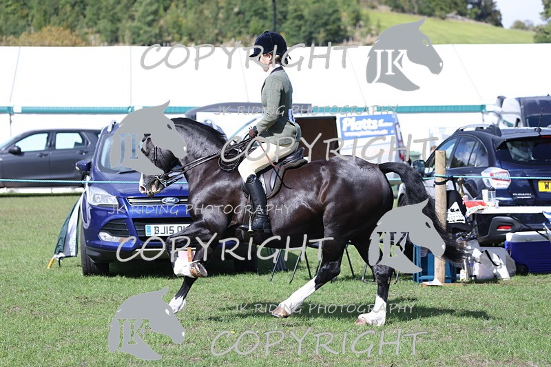 APP_3552 - Class 12 M&M ridden