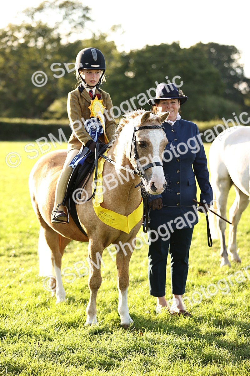 SBM_30146 - Novice & Newcomers Supreme Championship