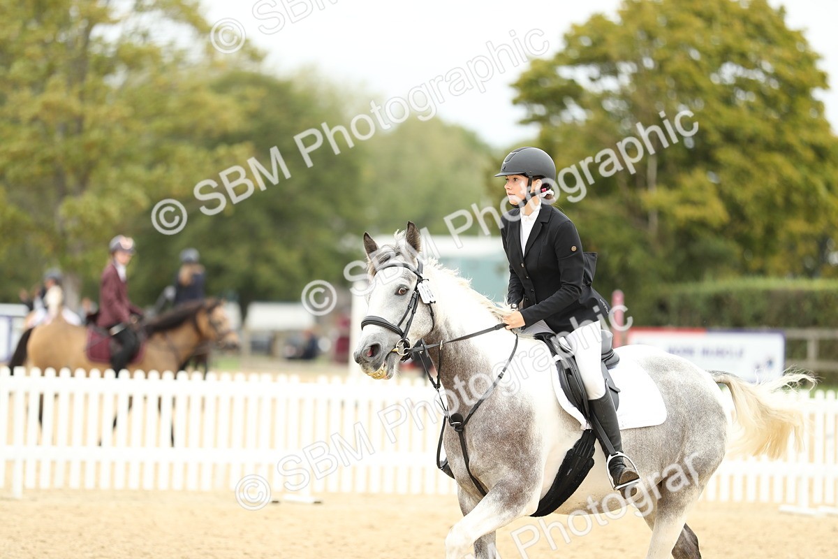 SBM_65701 - J48 - Pairs Jumping Open 70cm & 85cm