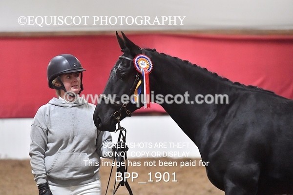 BPP_1901 - AFTERNOON 12.30 - 3.30PM